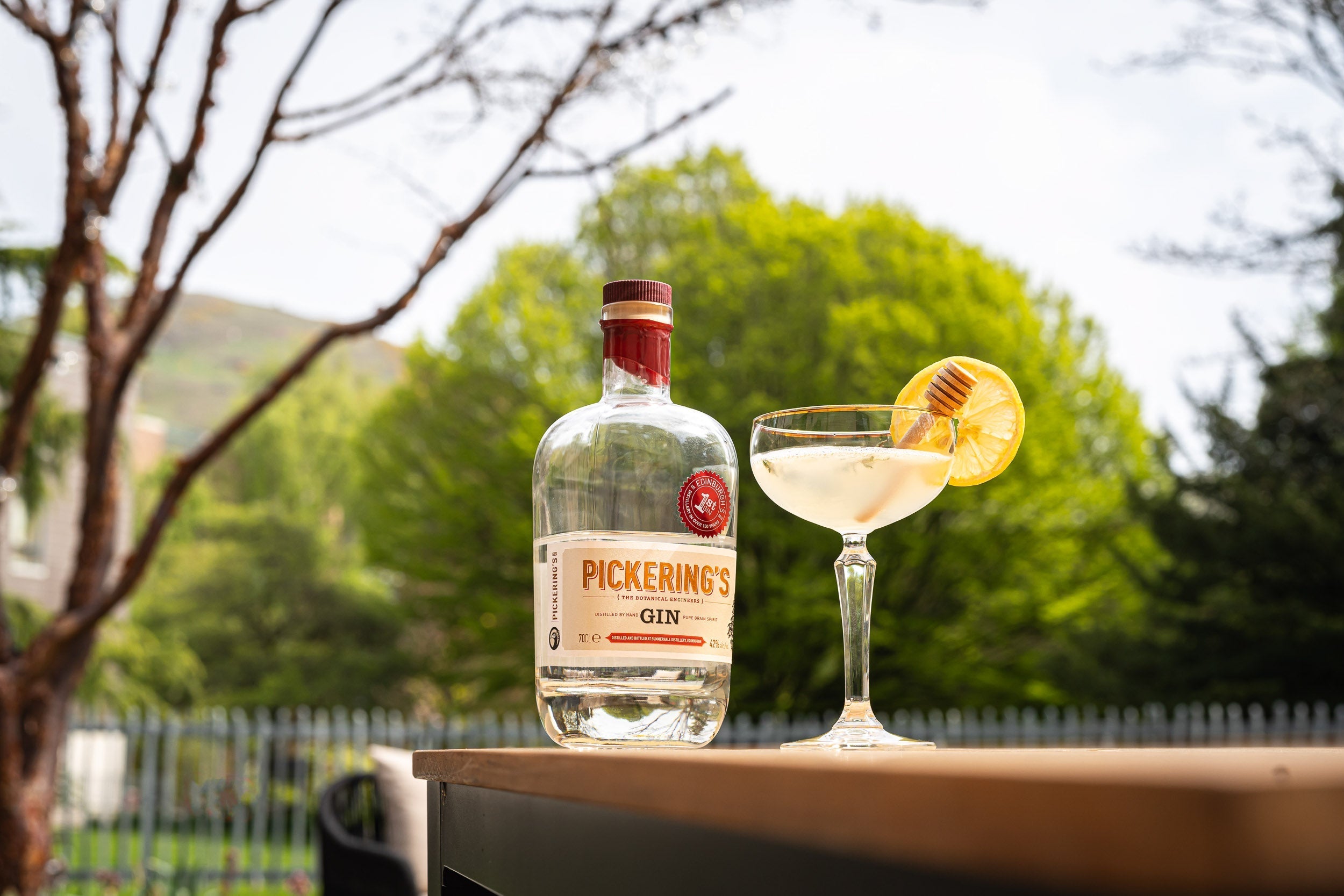 5 Gin Cocktails for Spring - SummerhallDistillery