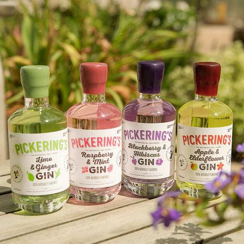 Selection of flavoured Pickering's Gin bottles