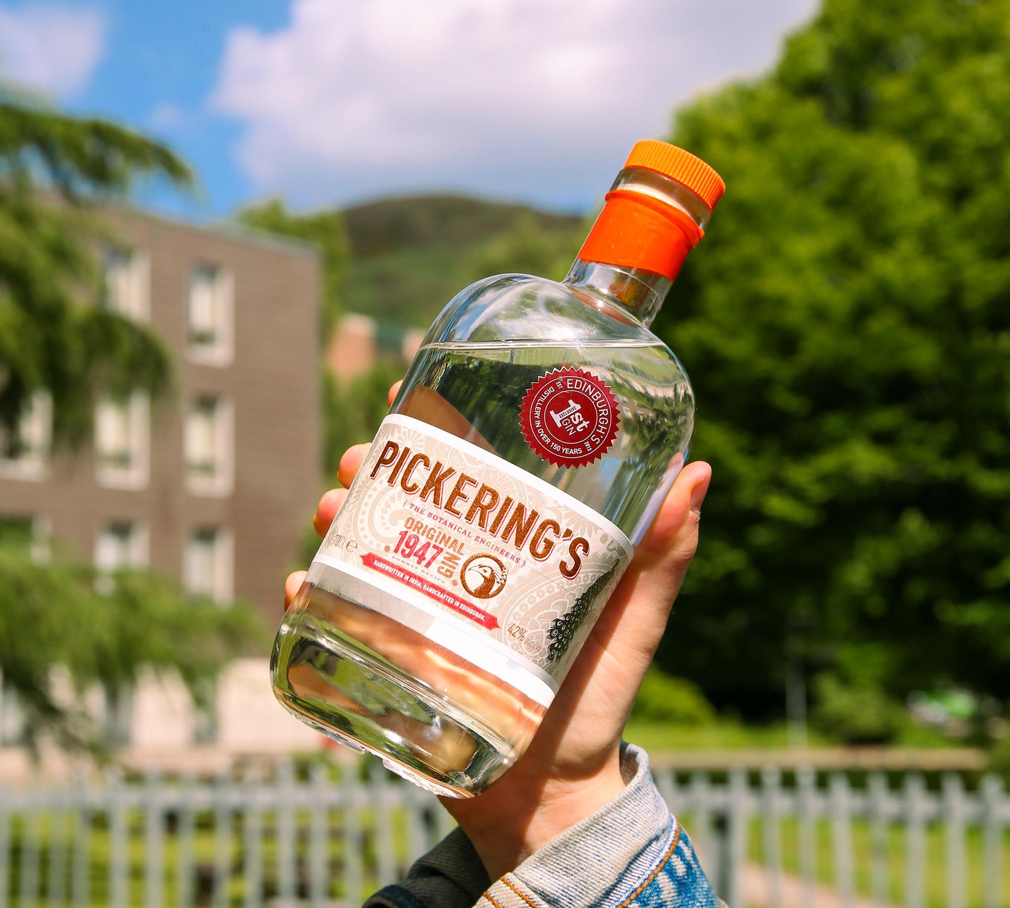 Does Gin Freeze? - SummerhallDistillery