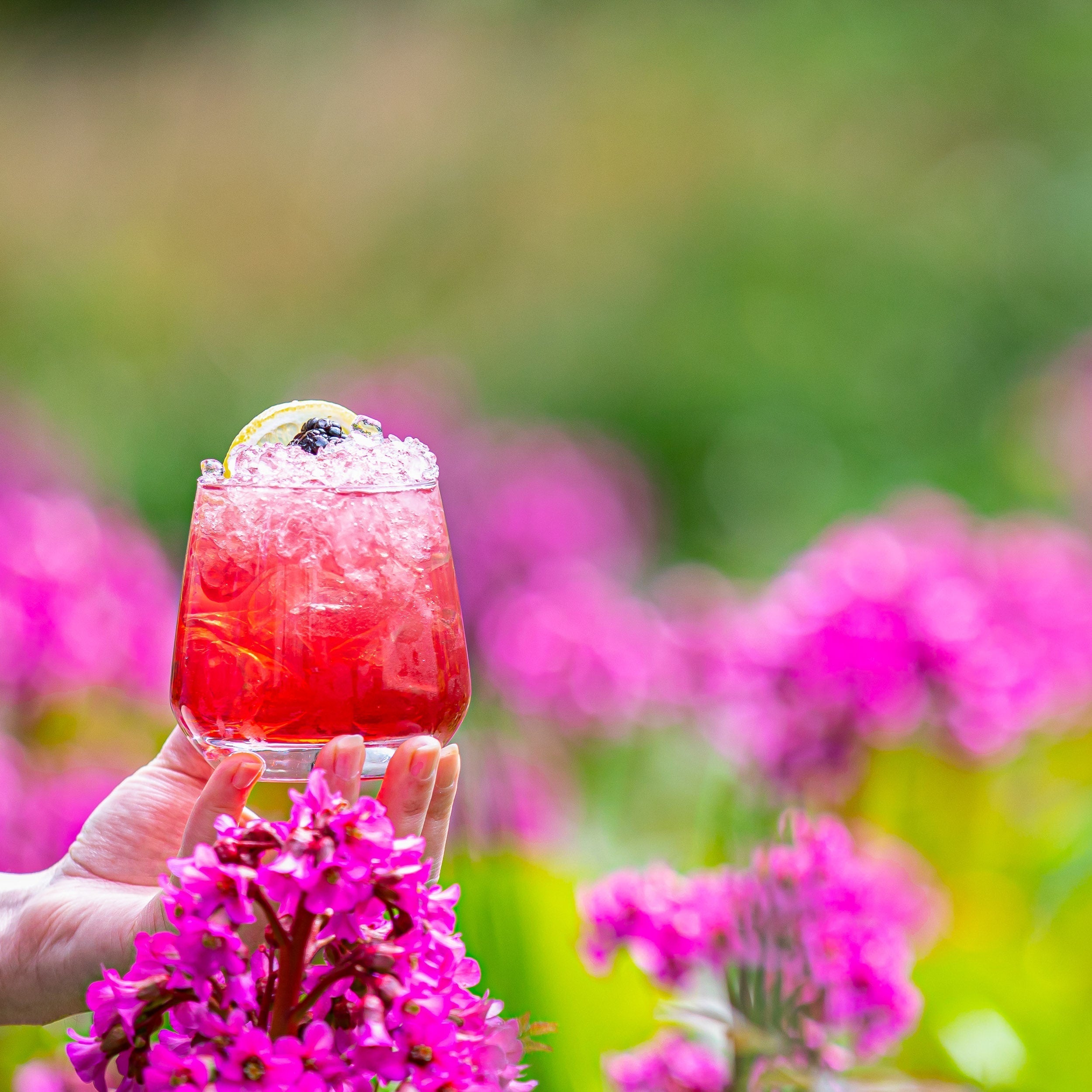 The Five Cocktails Every Home Bar Should Know - SummerhallDistillery