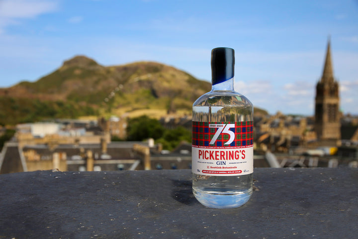 Bottle of Pickering's Gin with a scenic background