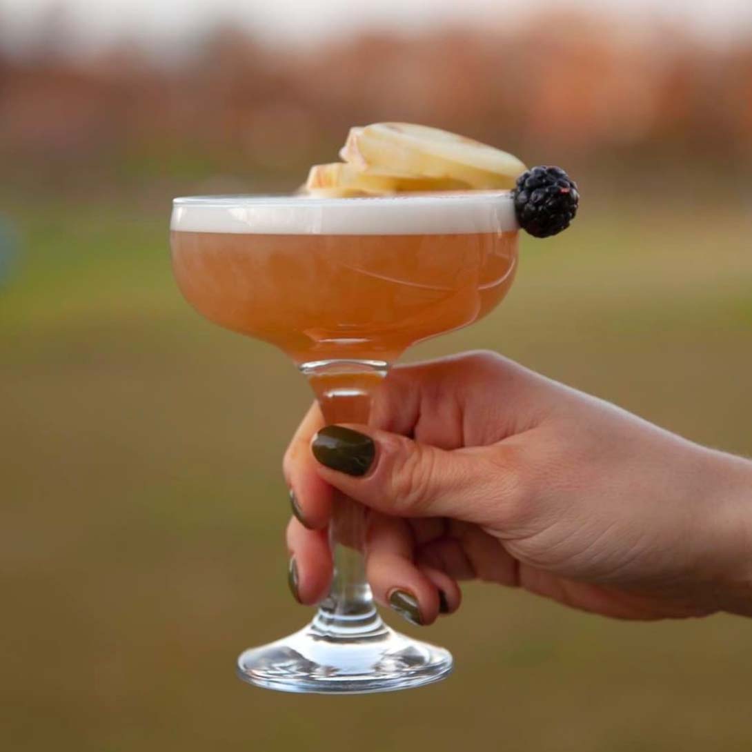 Clover Club cocktail