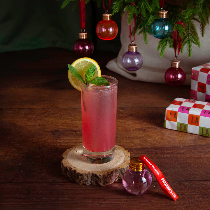 Winter Berry Collins