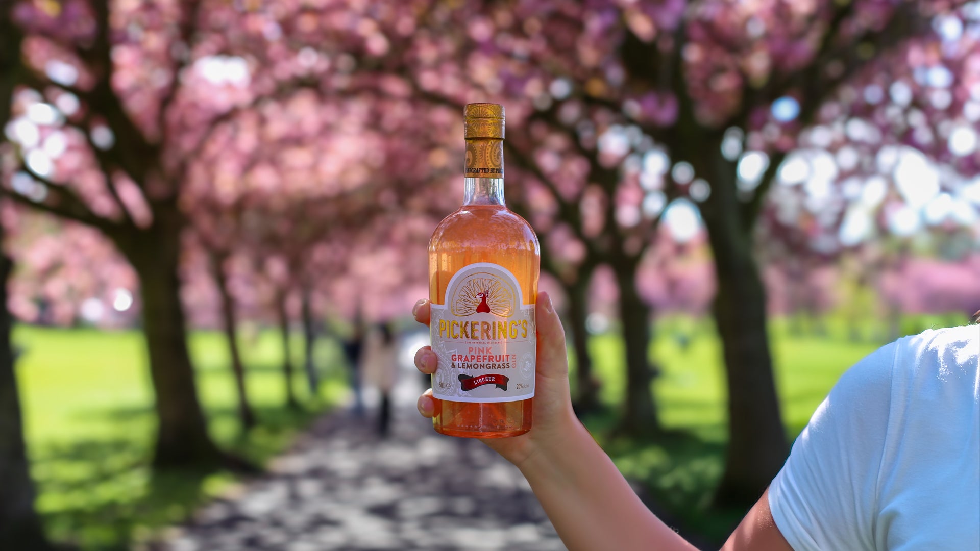 Person holding a bottle of Pickering's Gin Pink Grapefruit & Lemongrass Liqueur in front of cherry blossom trees